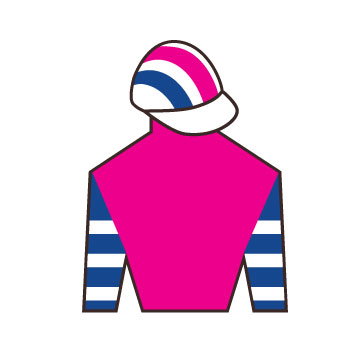 Pink-Brown-Silks